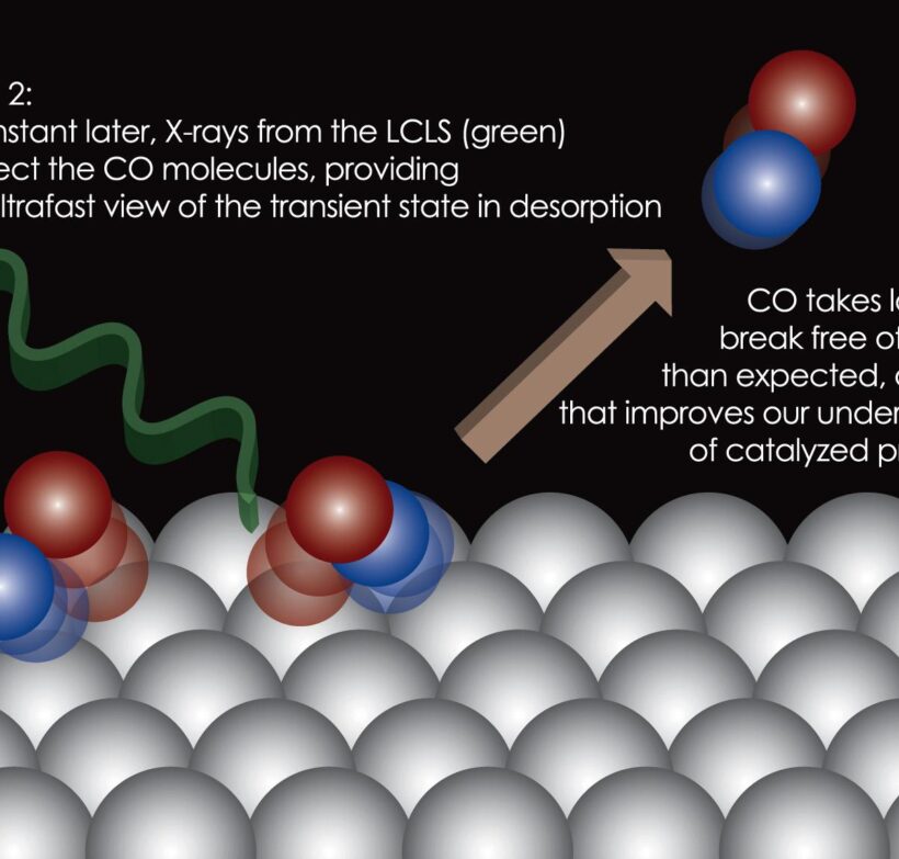 生物医药计算平台 殷赋科技官网